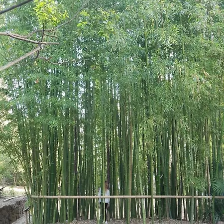 度假居 De L'eolienne