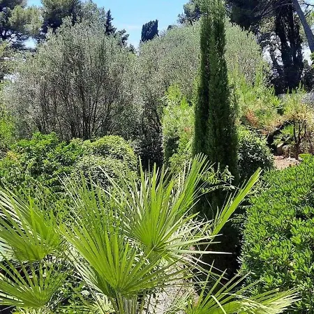 De L'eolienne Hébergement de vacances Carqueiranne
